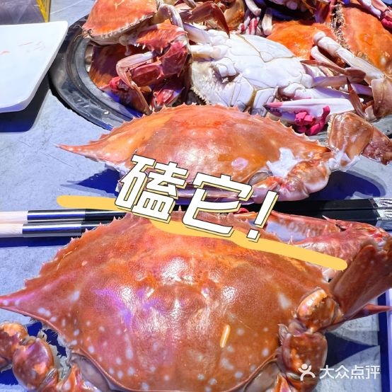 奔海甄选·活鲜刺身铁板烧资助