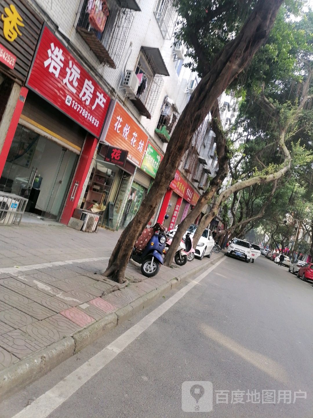 花悦花坊(鲜花店)