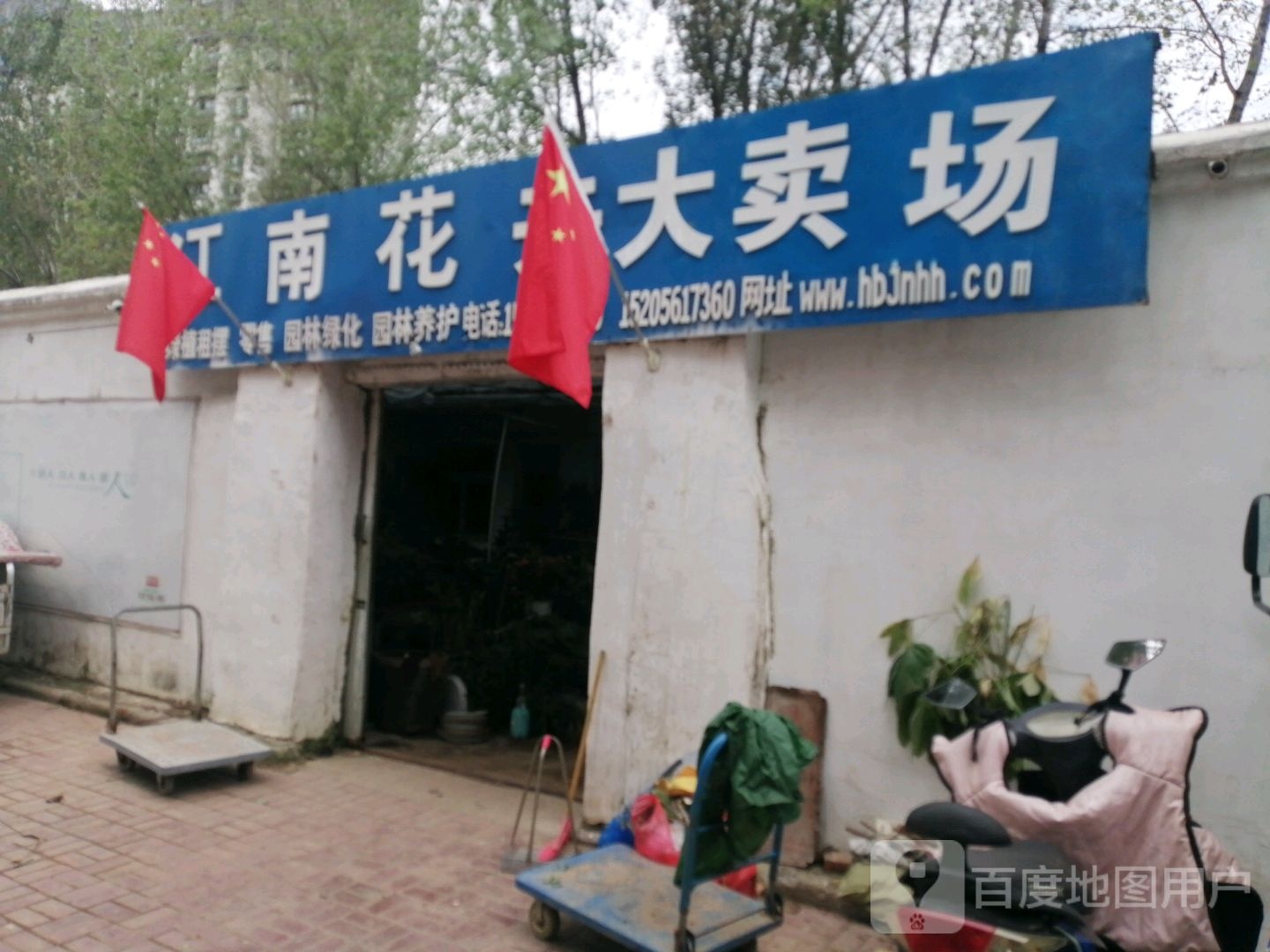 江南花卉