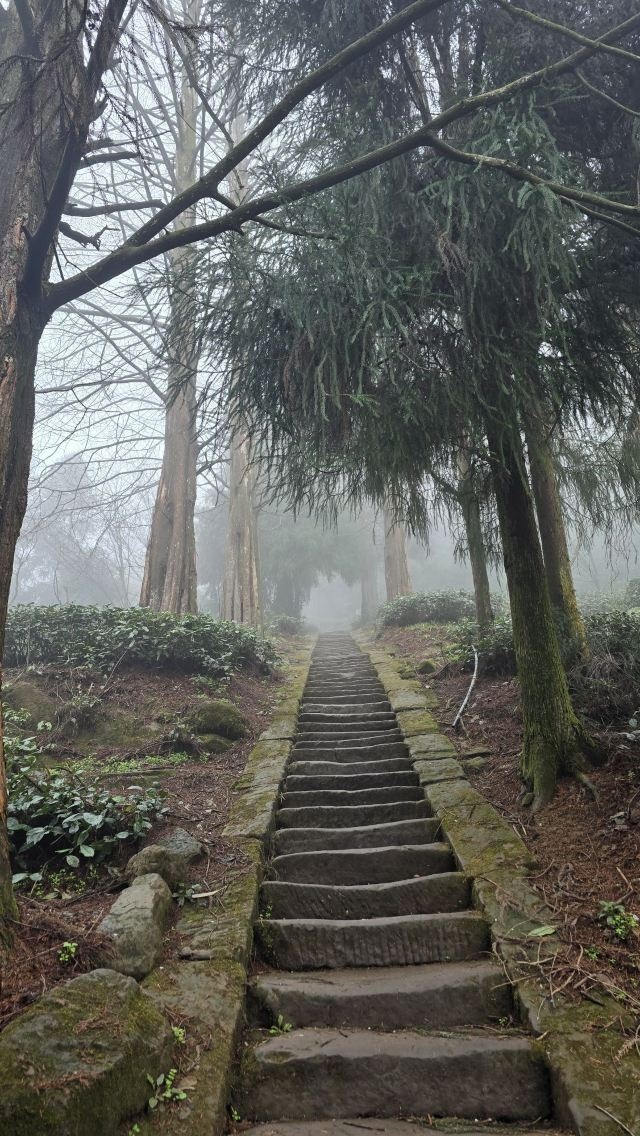 天梯古道