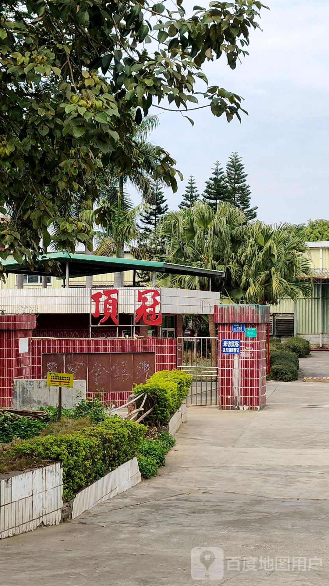 顶冠