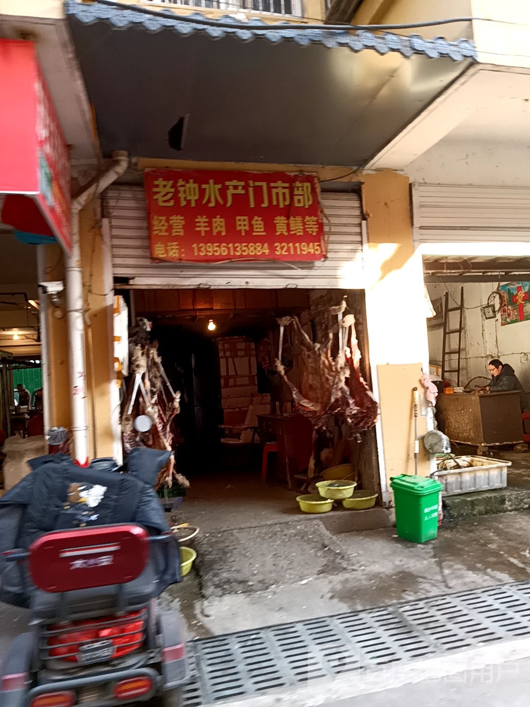 老钟甲鱼批发