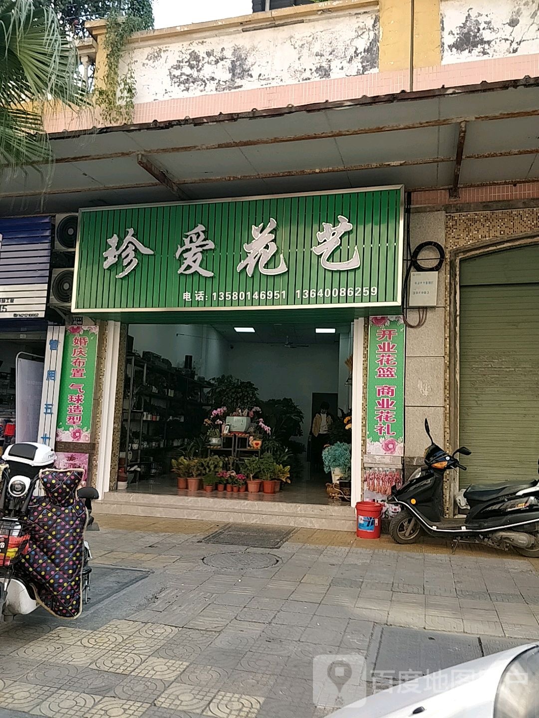珍爱花艺