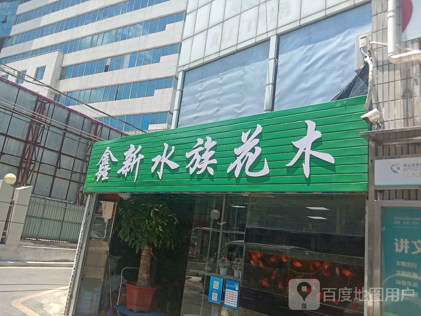 鑫新水族花木(坪山街市场店)