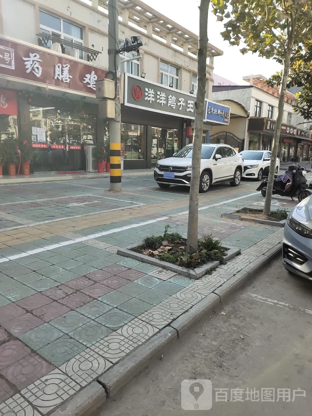 洋洋鸽子王