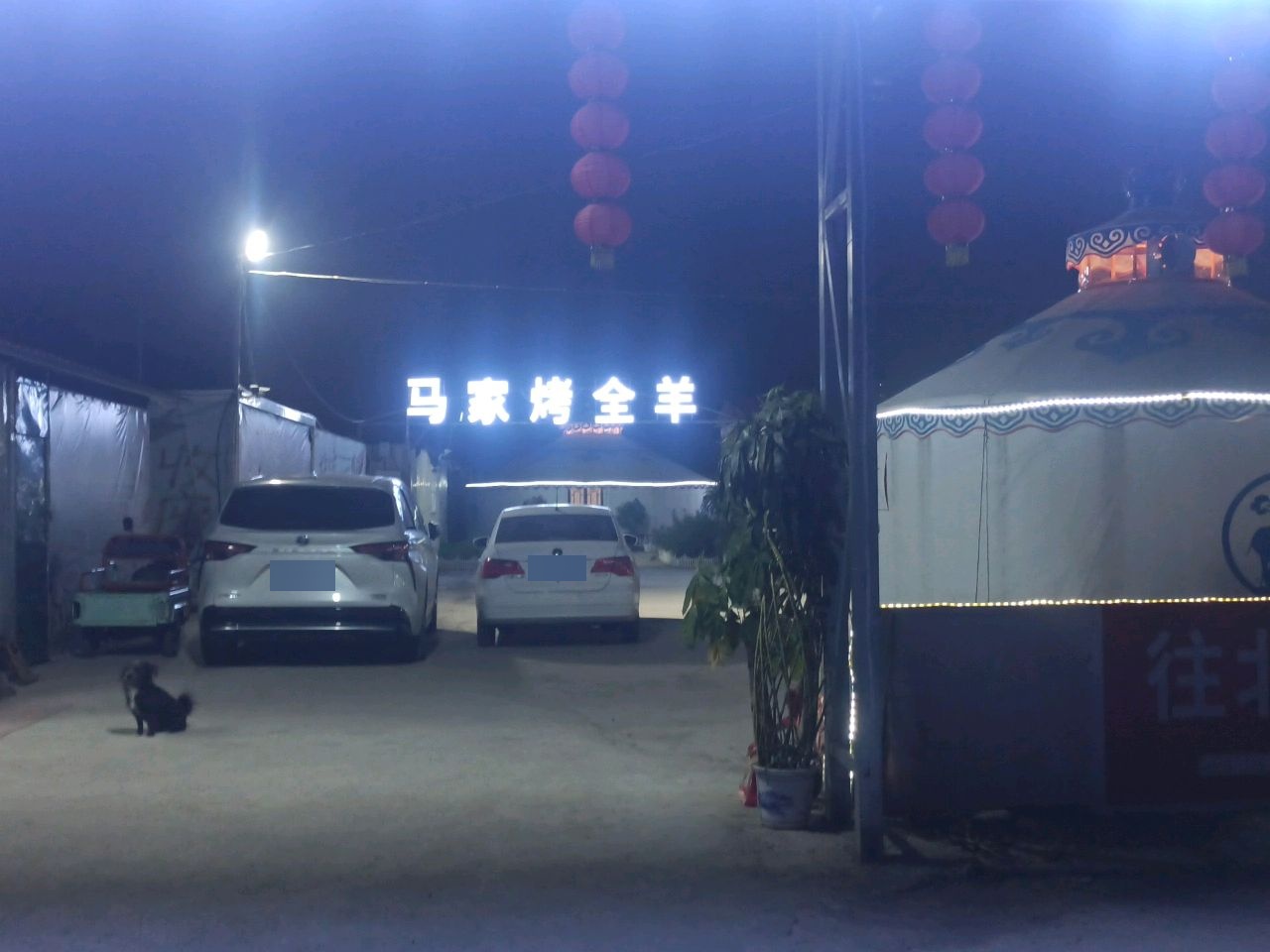 清真曹县马家烤全羊烧烤广场(济南店)