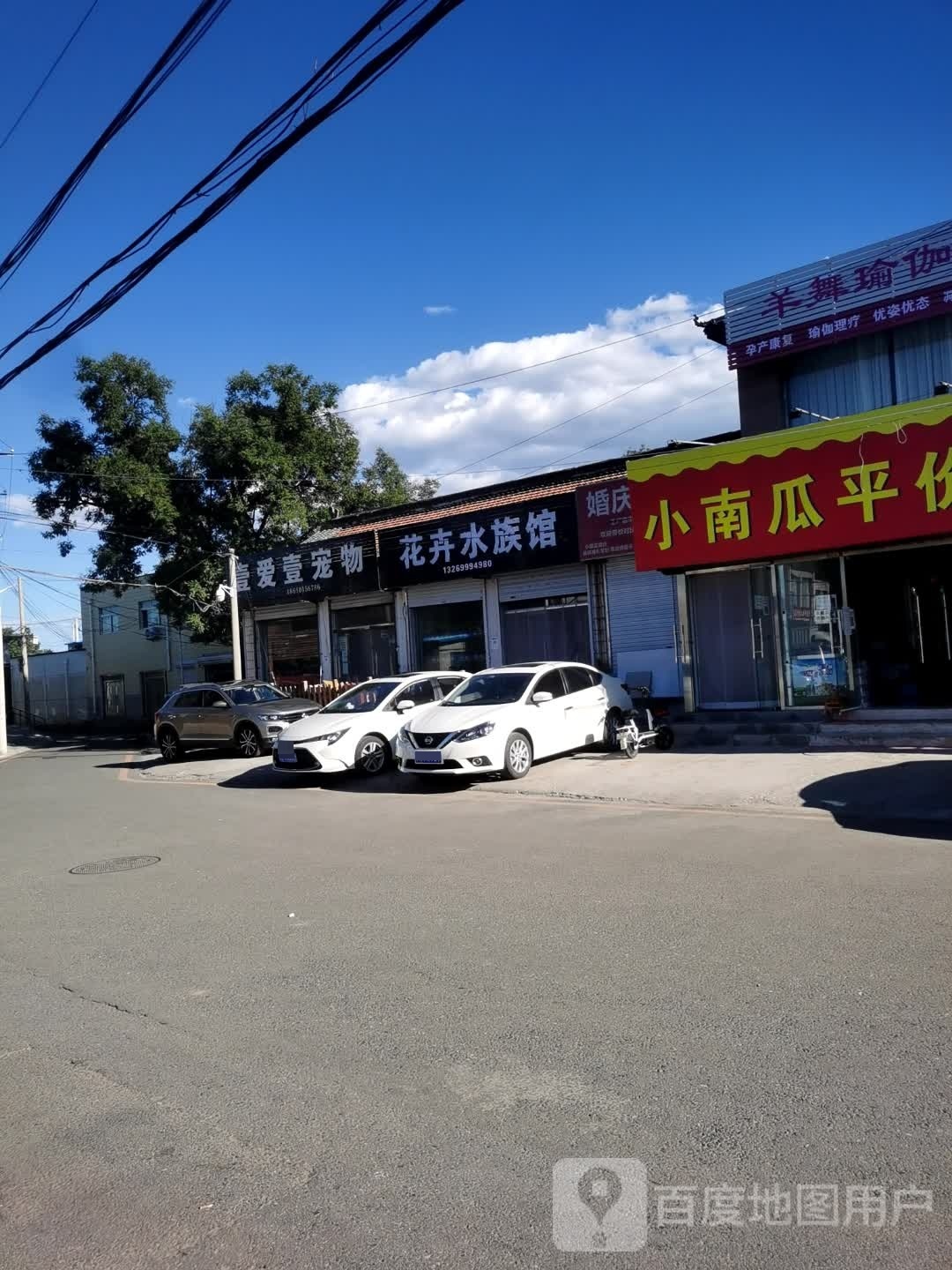 花卉水zu馆