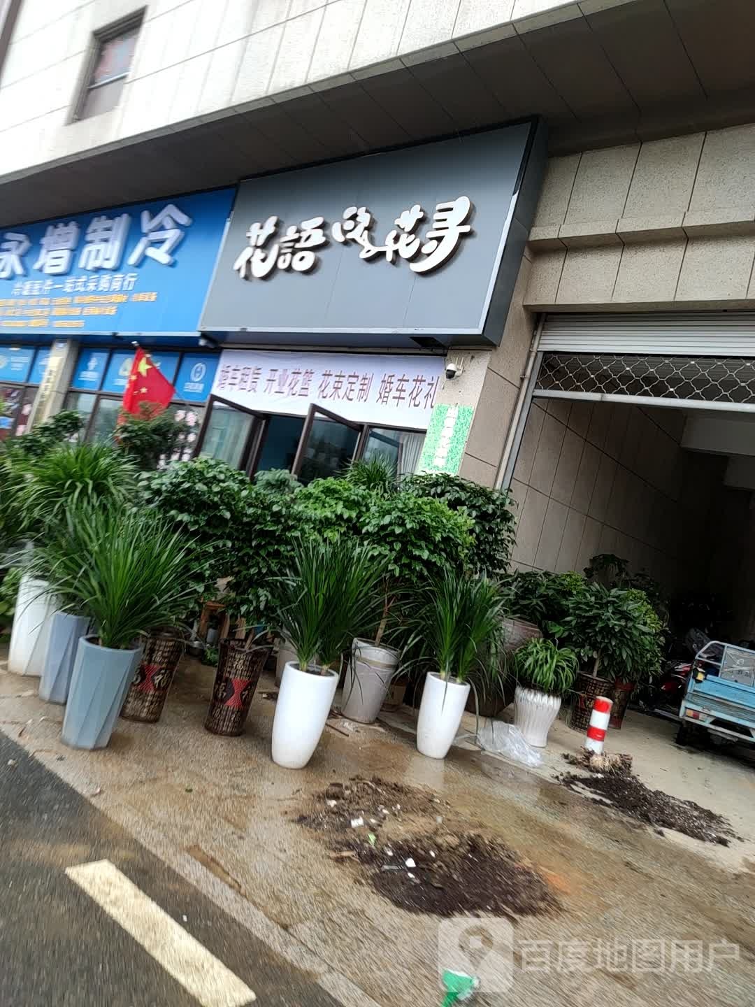 临泉区花花寻鲜花店