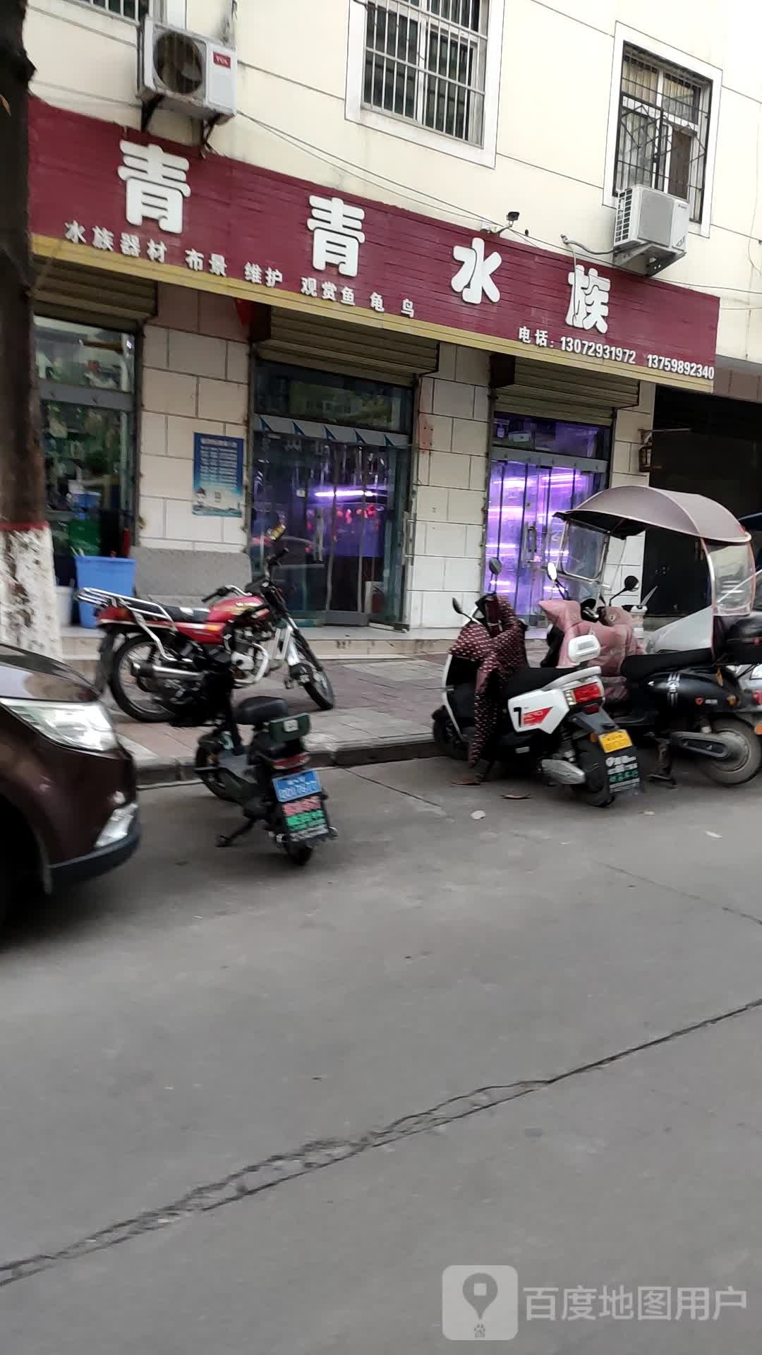 青青水族(公园路店)
