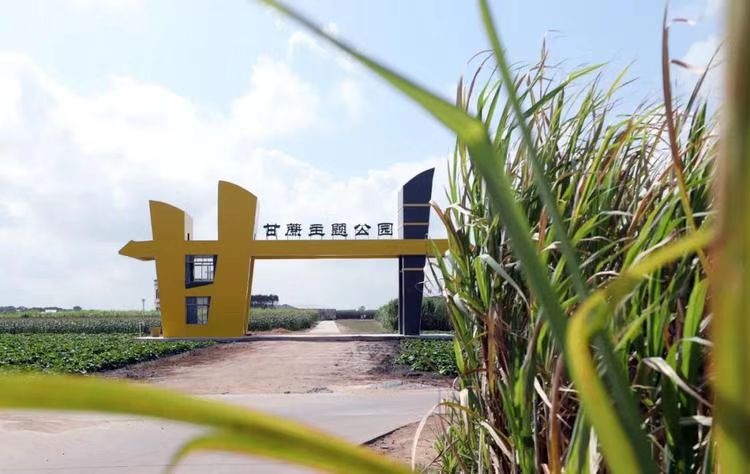 北坡甘蔗主题公园