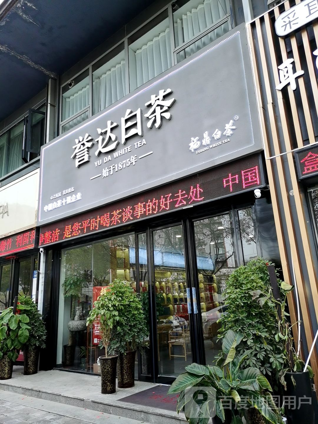 誉达白茶(商鼎路店)