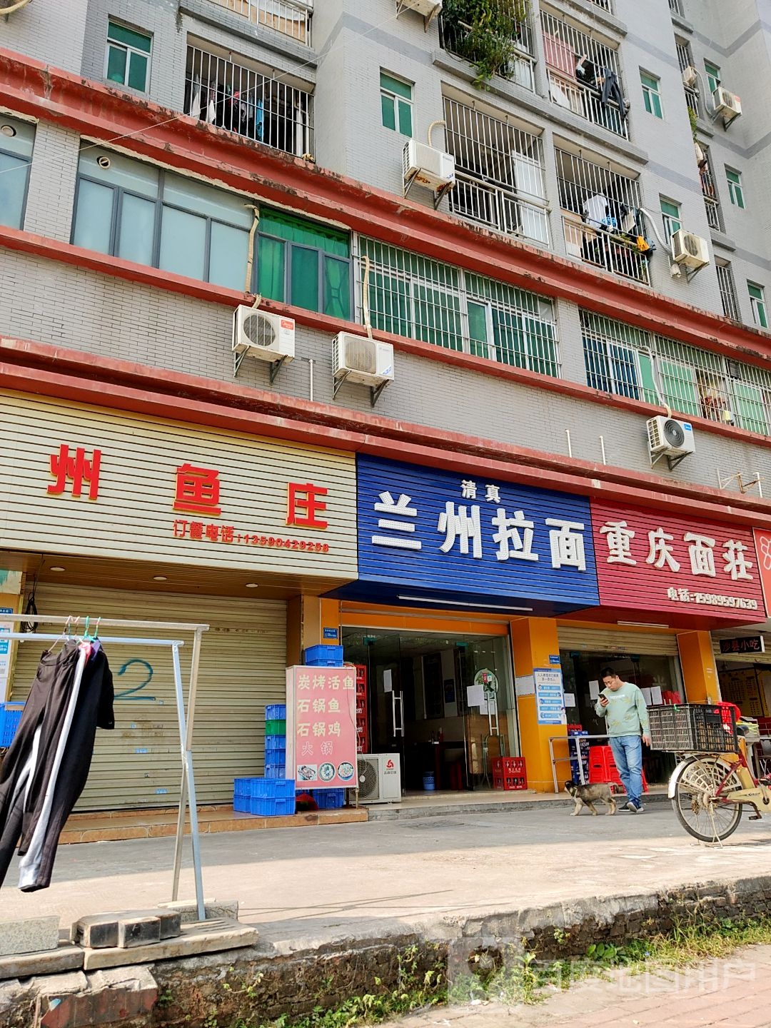 清真兰州拉面(创业路店)