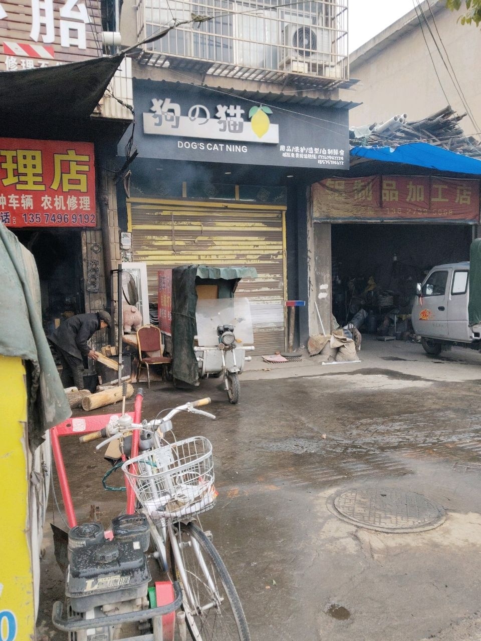 狗的猫柠宠物店