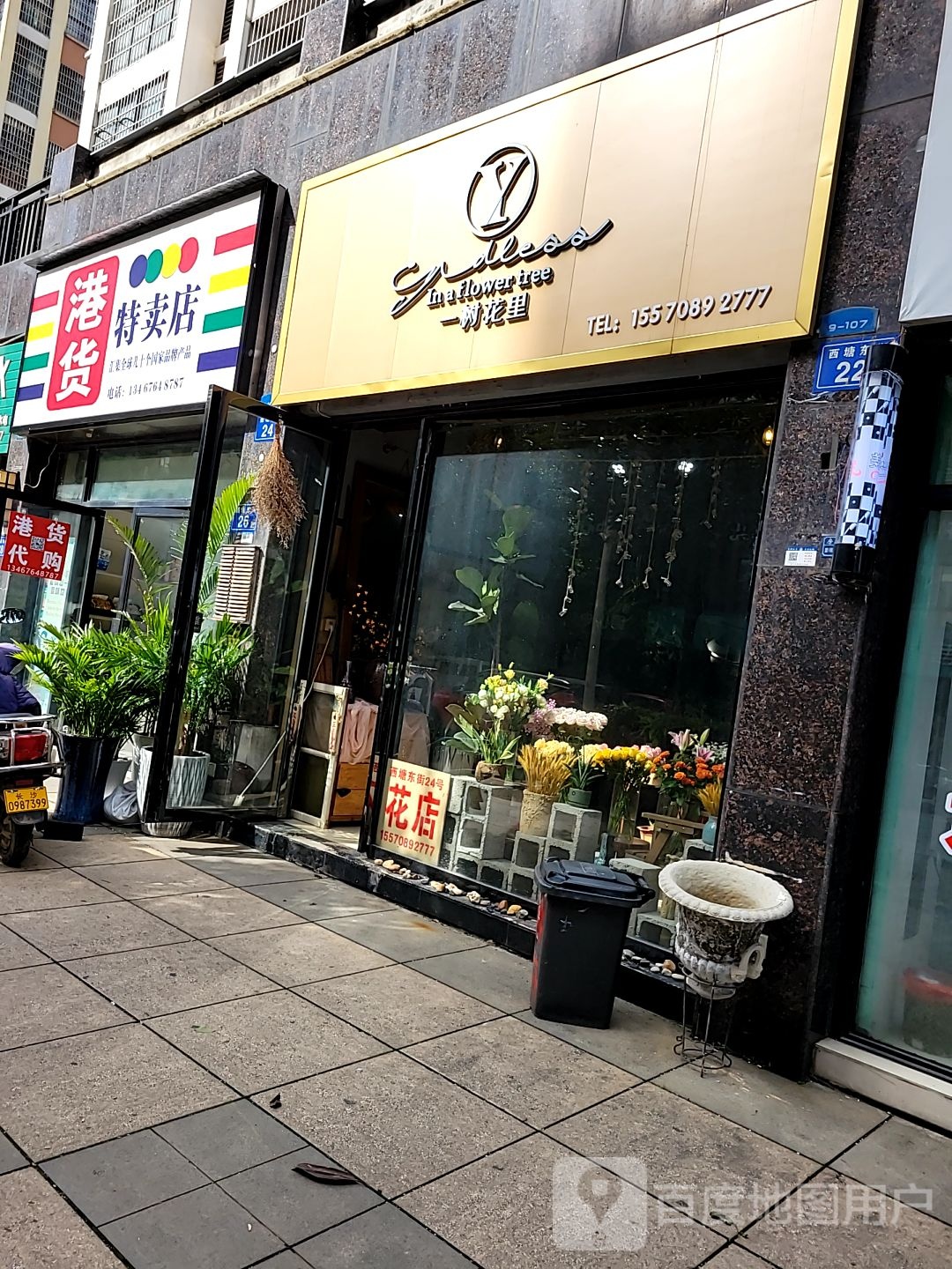 一树花里