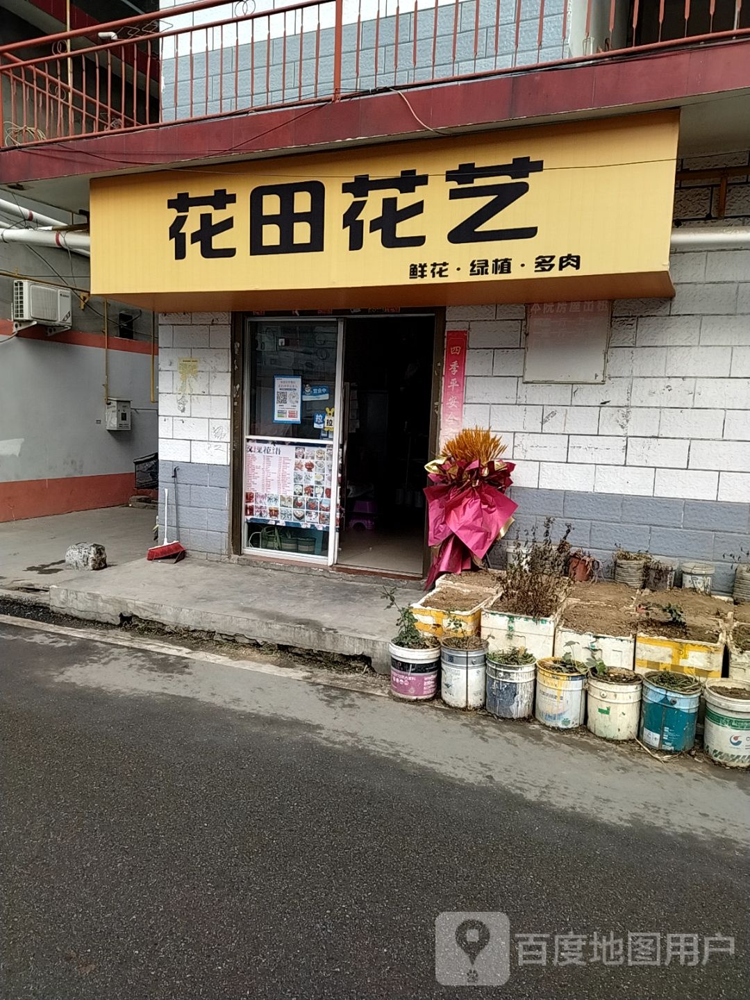 花田花艺鲜花绿植多肉