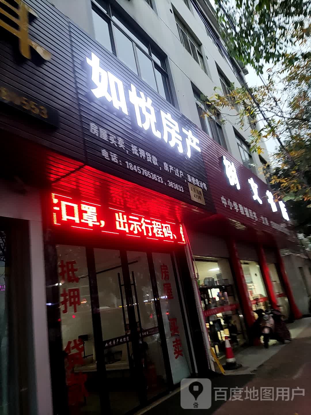 树文书店(人民东路店)