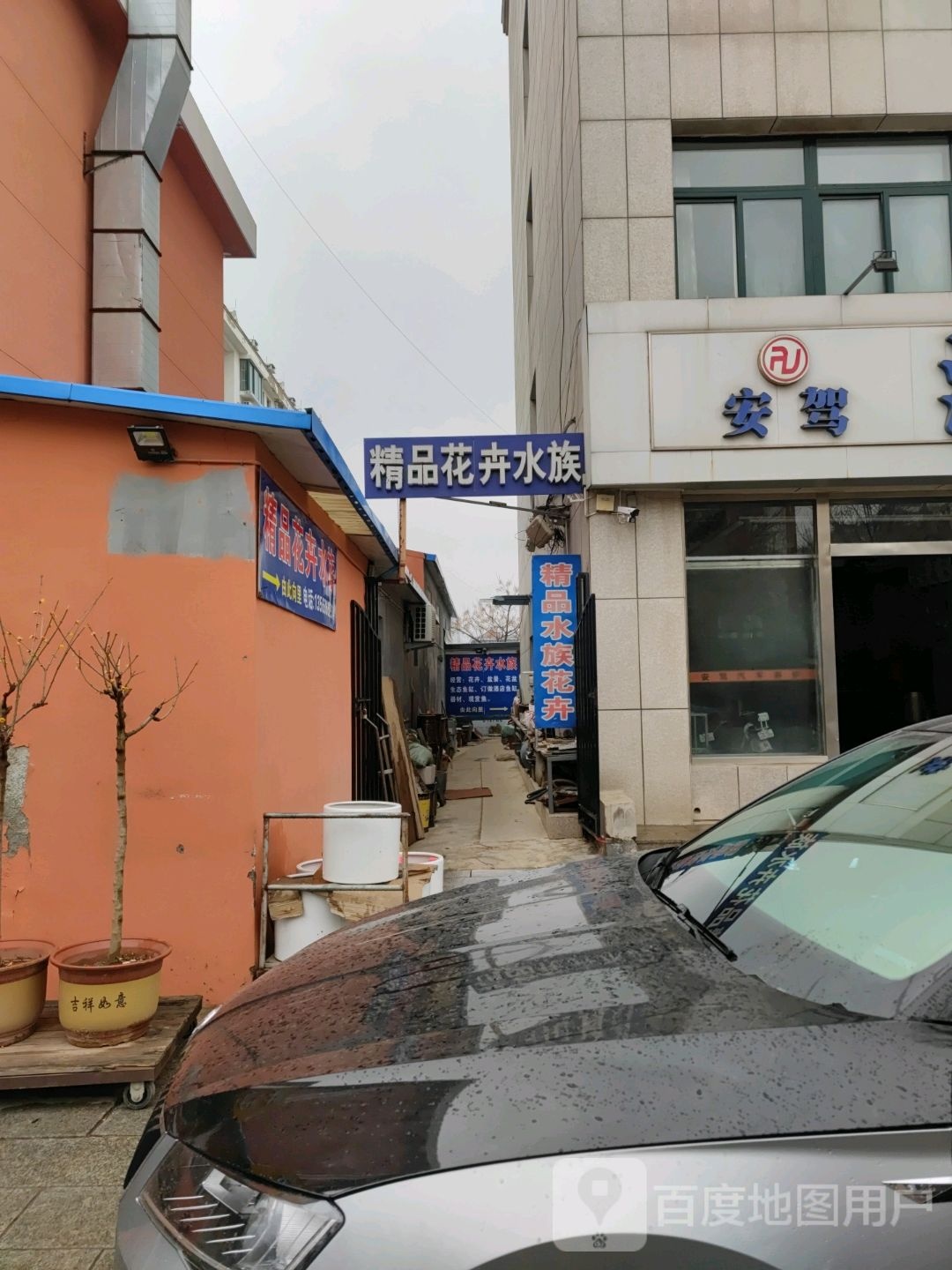 精品花卉水族