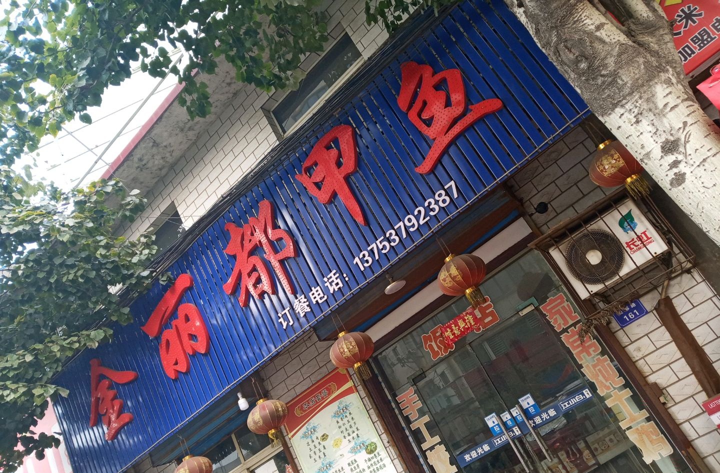 金丽都甲鱼