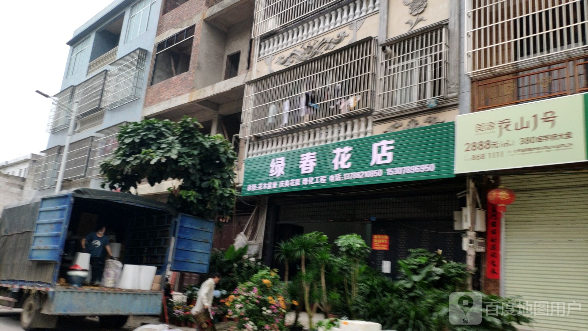 绿春花店