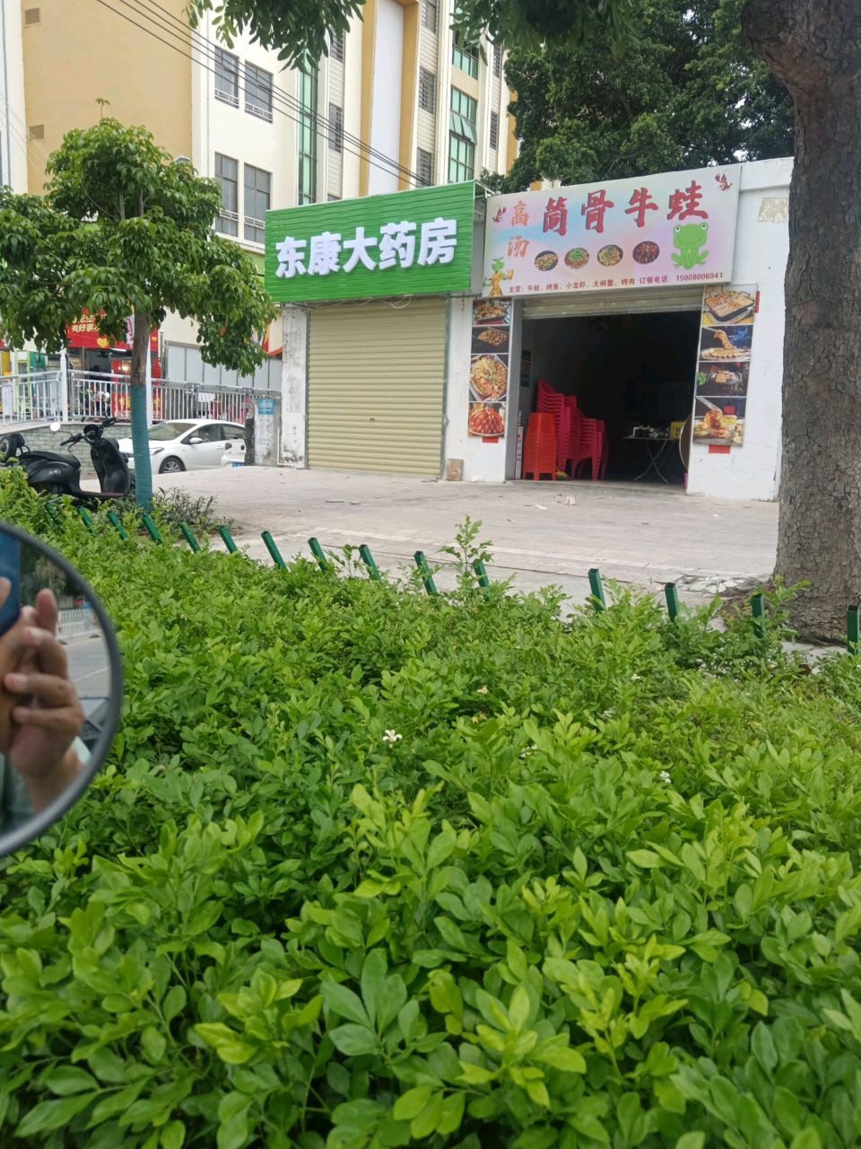 高汤筒骨牛蛙
