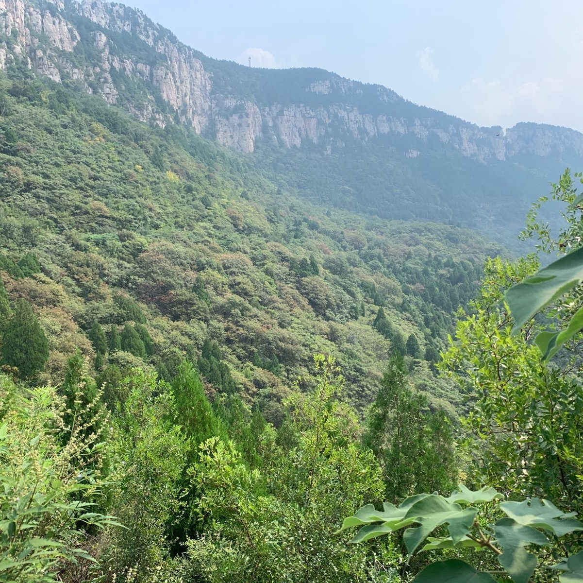 马山