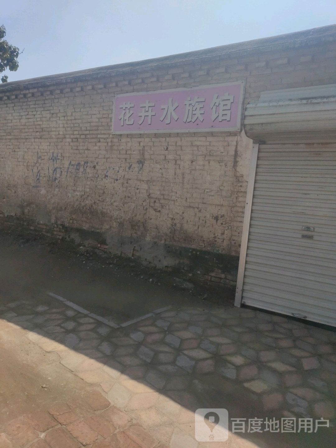 花卉水族管