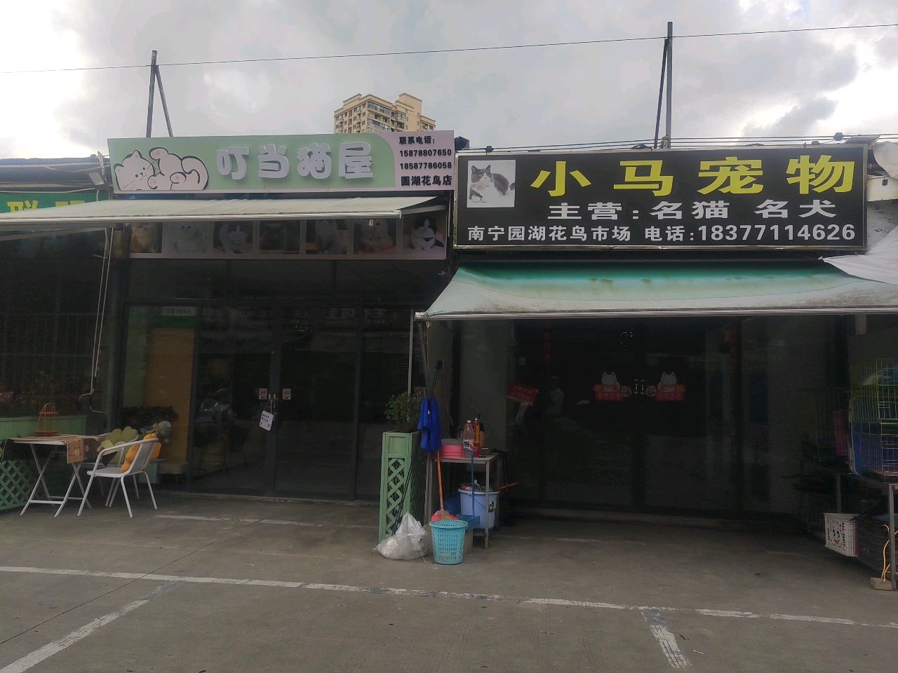叮当猫屋(国湖花鸟店)