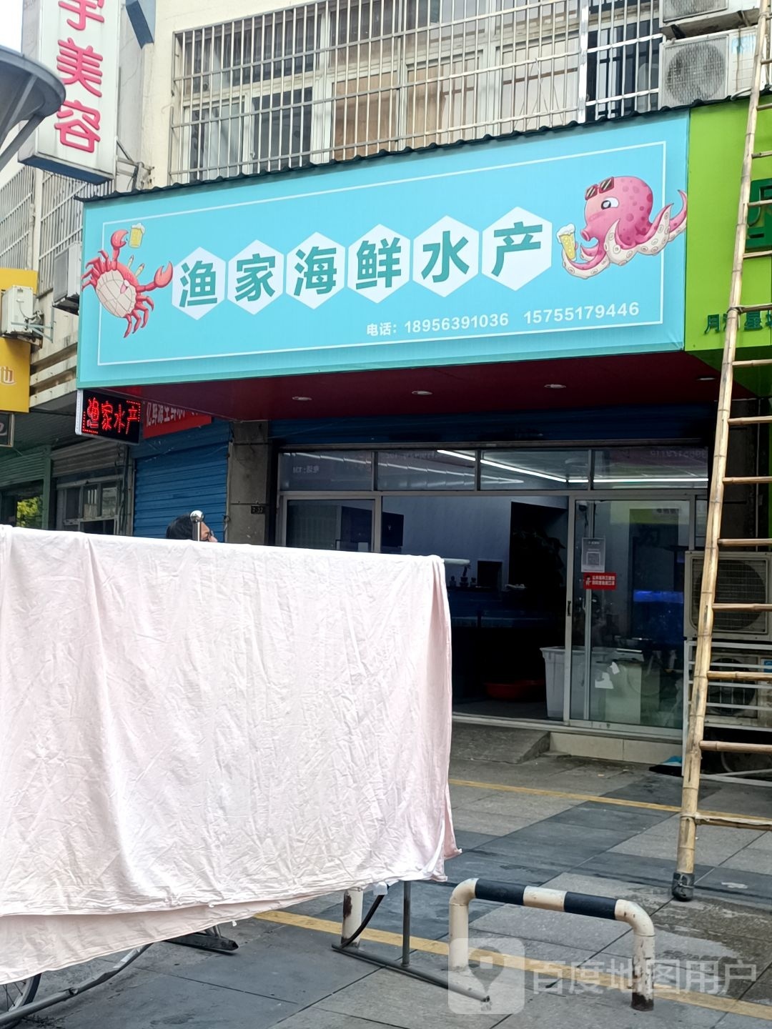 贝渔嵇家肾海鲜水产