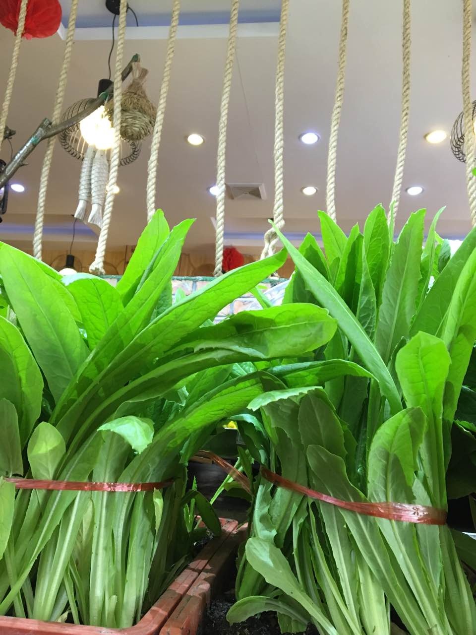 大碗源·海鲜水餃青岛菜(万年泉路店)