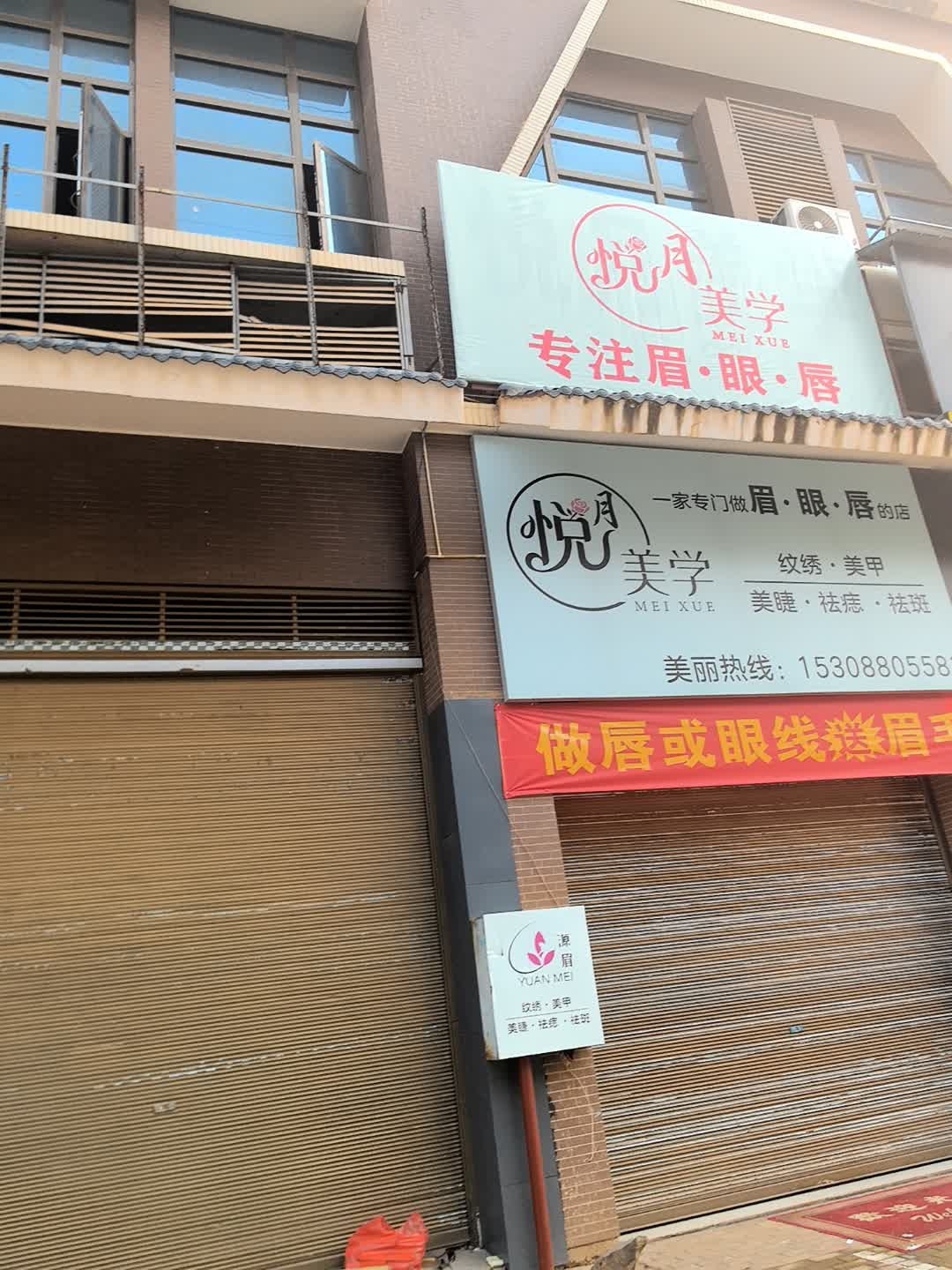 雾美学