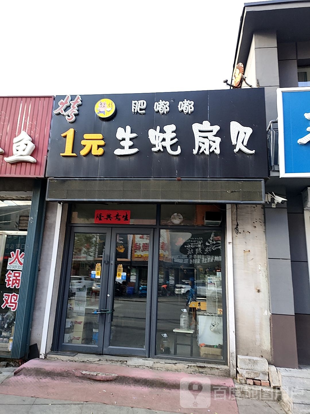 肥嘟嘟1元生蚝扇贝