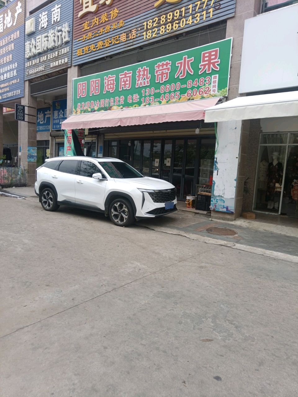 阳阳海南热带水果