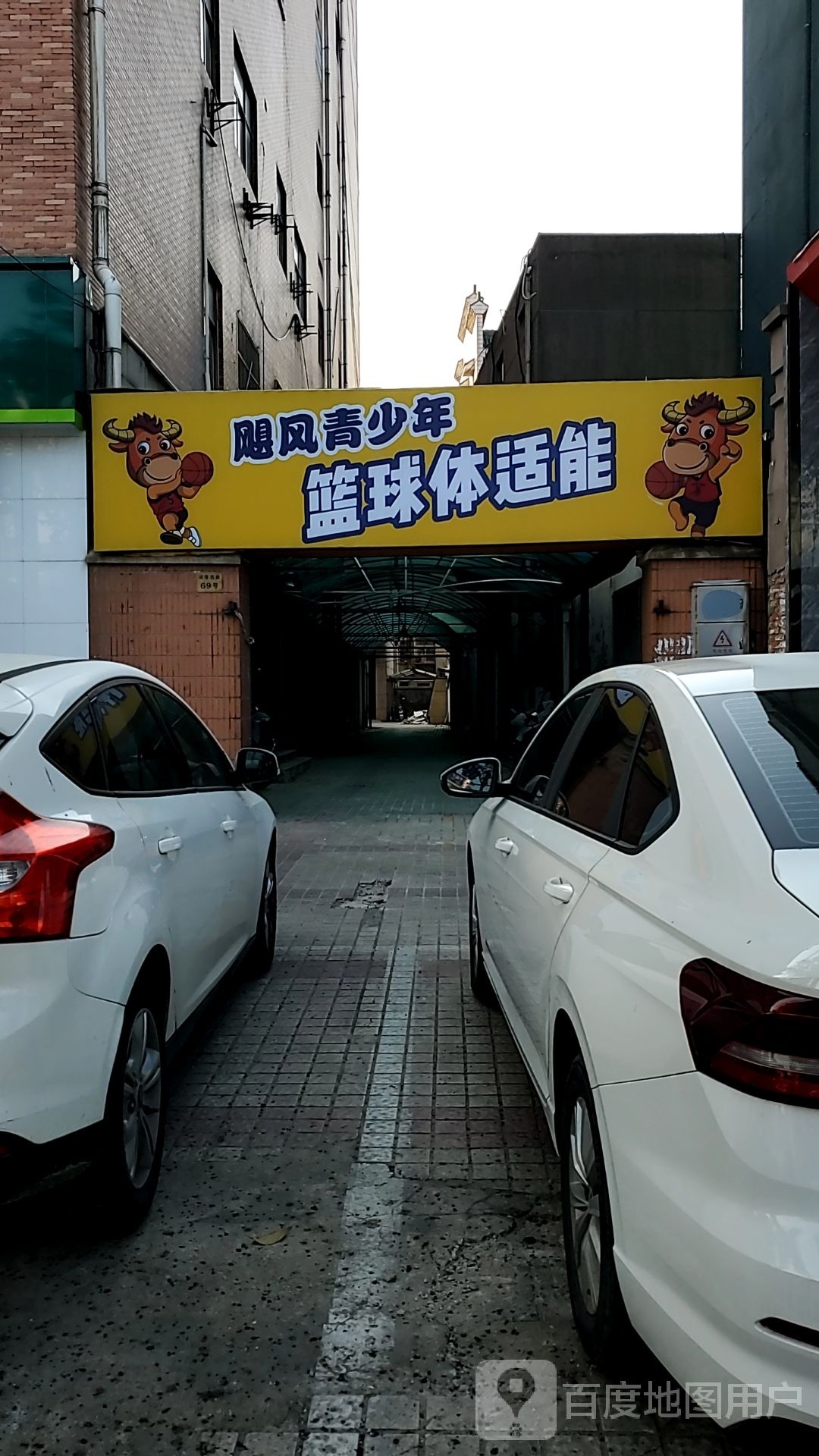 飓风青少年篮球体适能