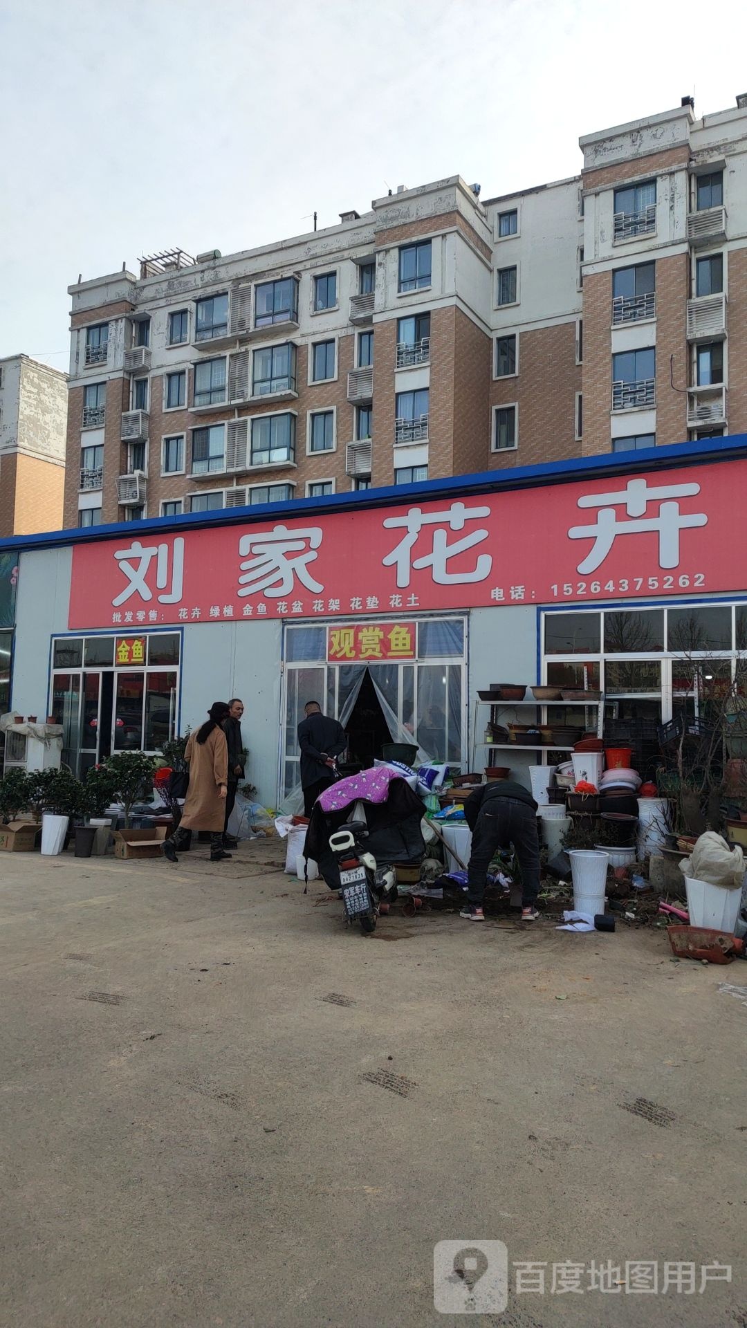 刘家花卉