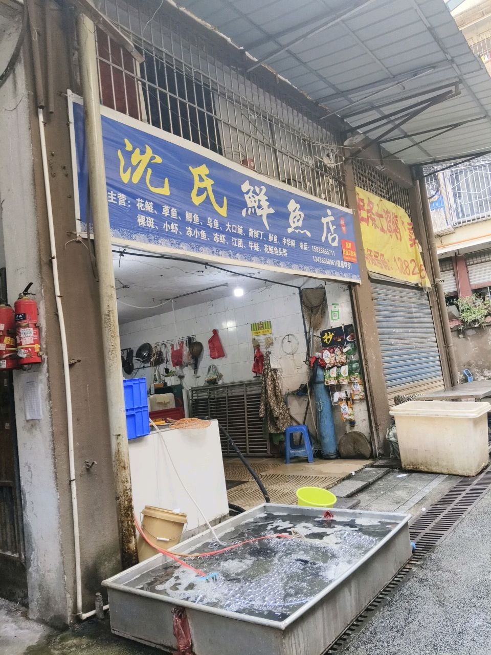 沈氏鲜鱼店