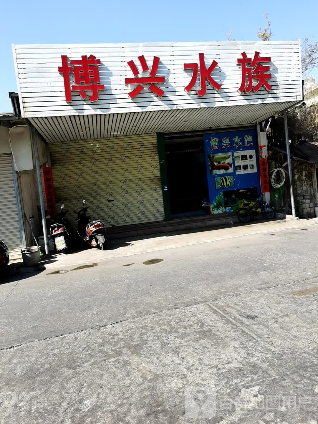 博兴水族