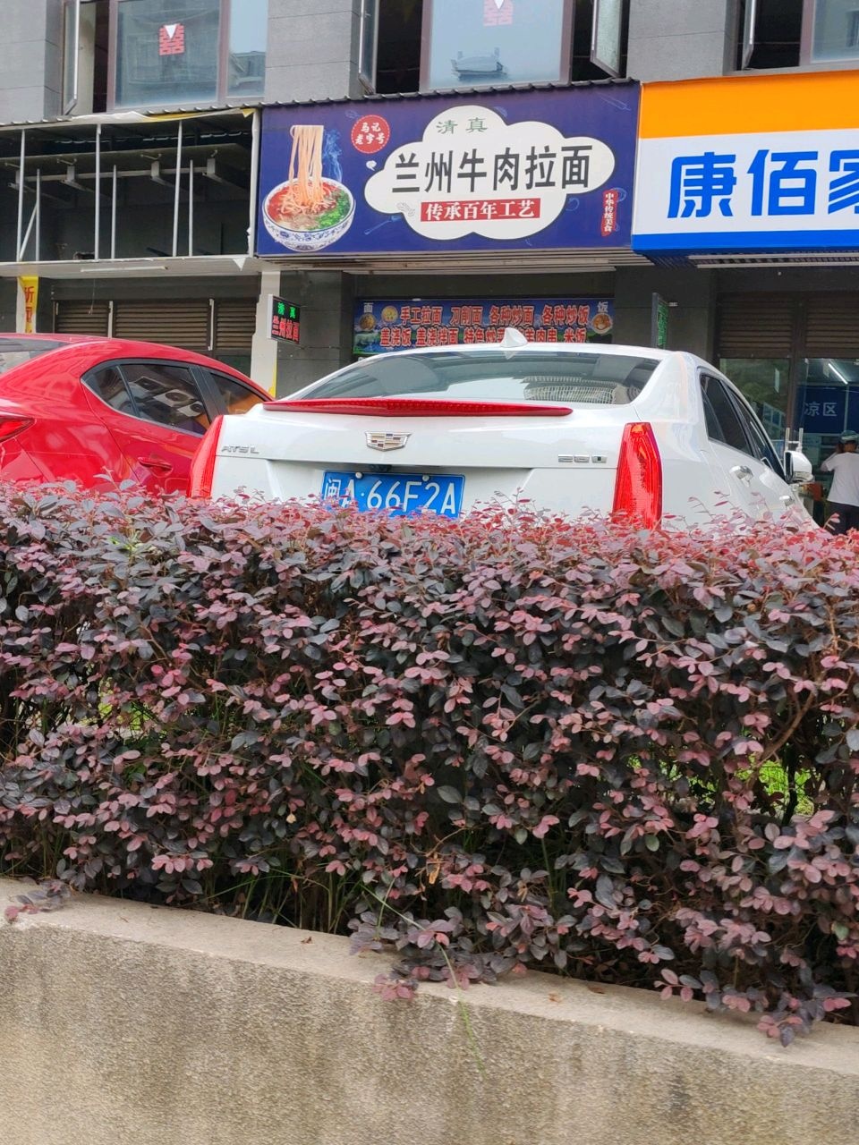 清真兰州牛肉拉面(前锦新苑店)