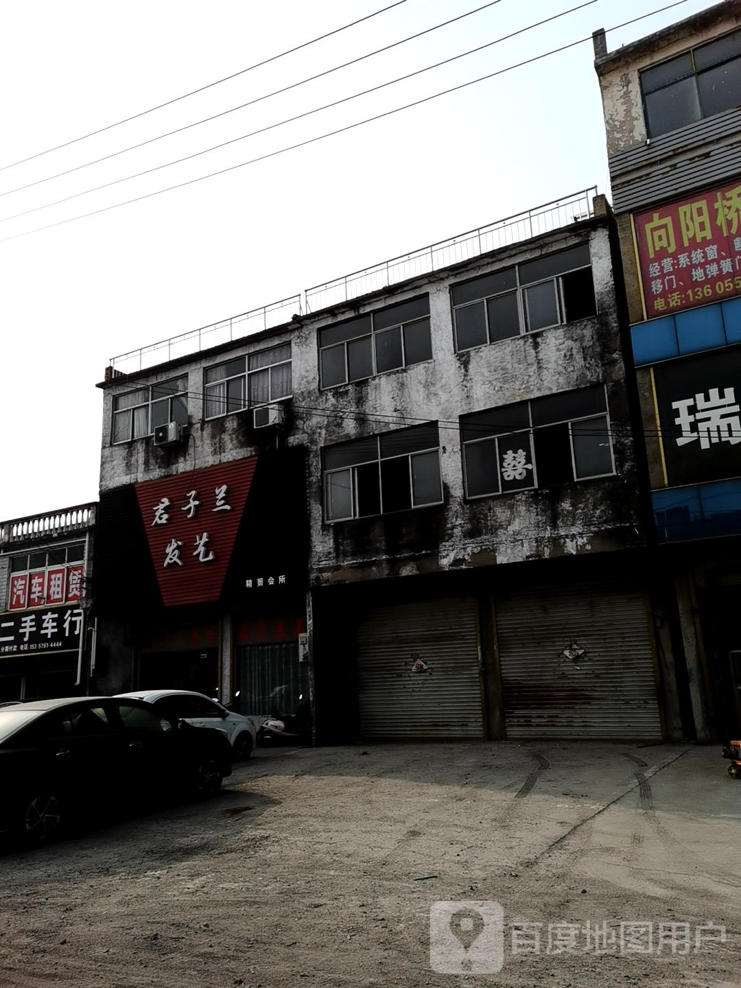 君子兰发艺