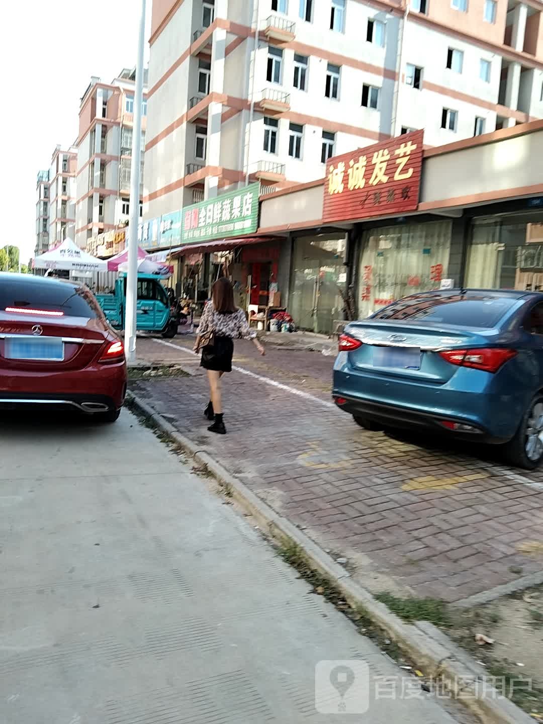 诚诚发艺社