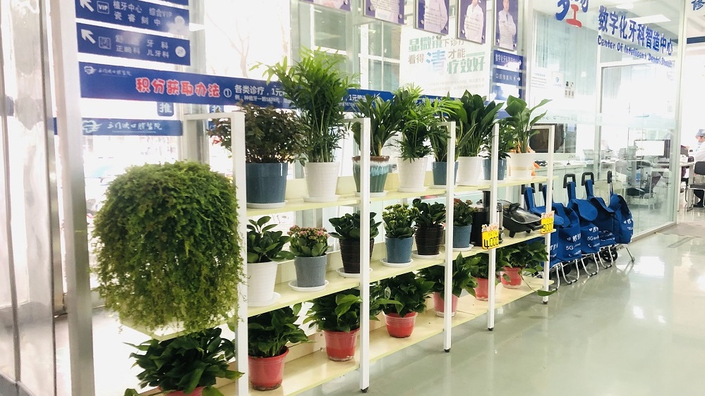 三门峡市口腔医院