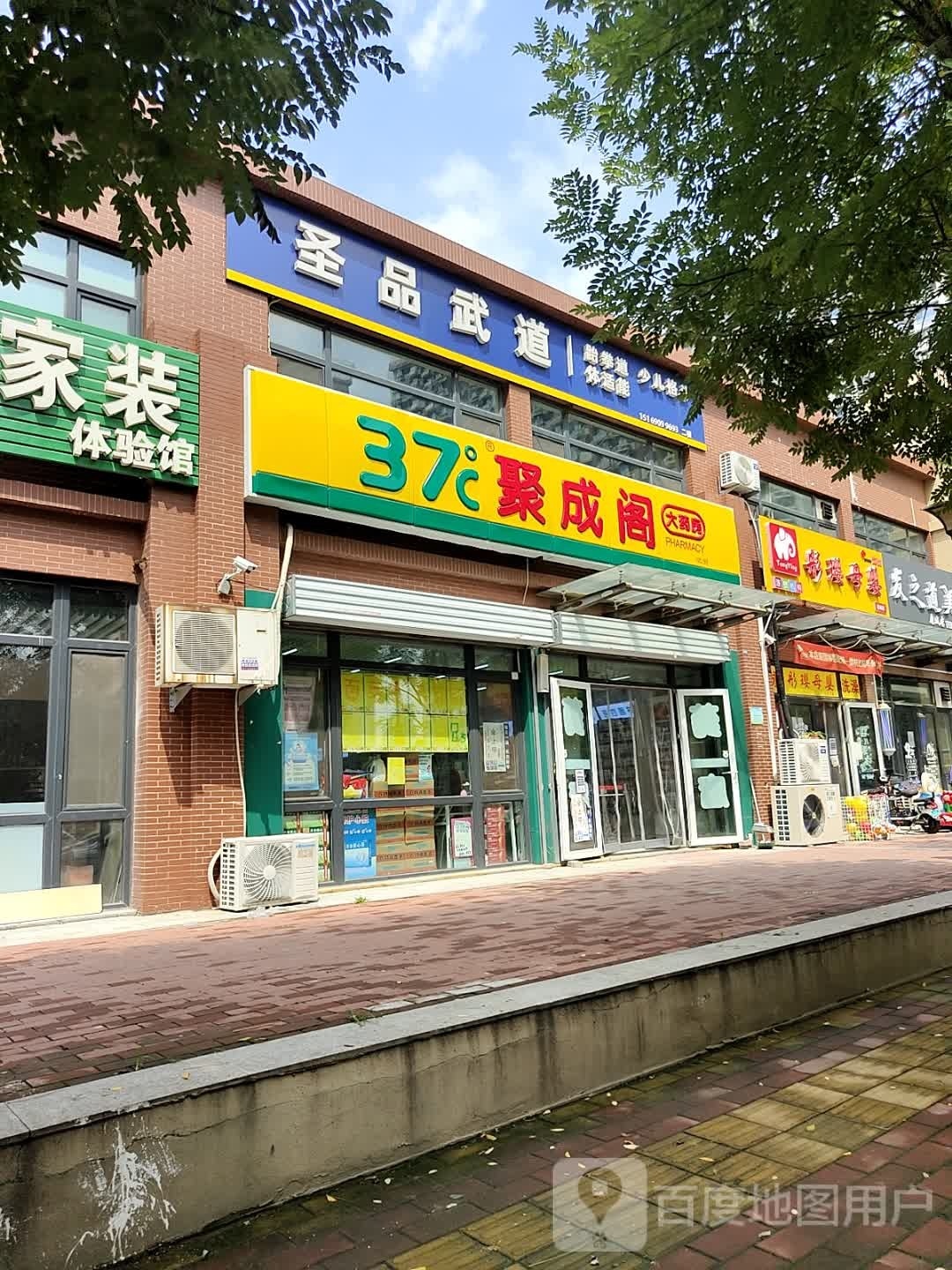 圣品武道