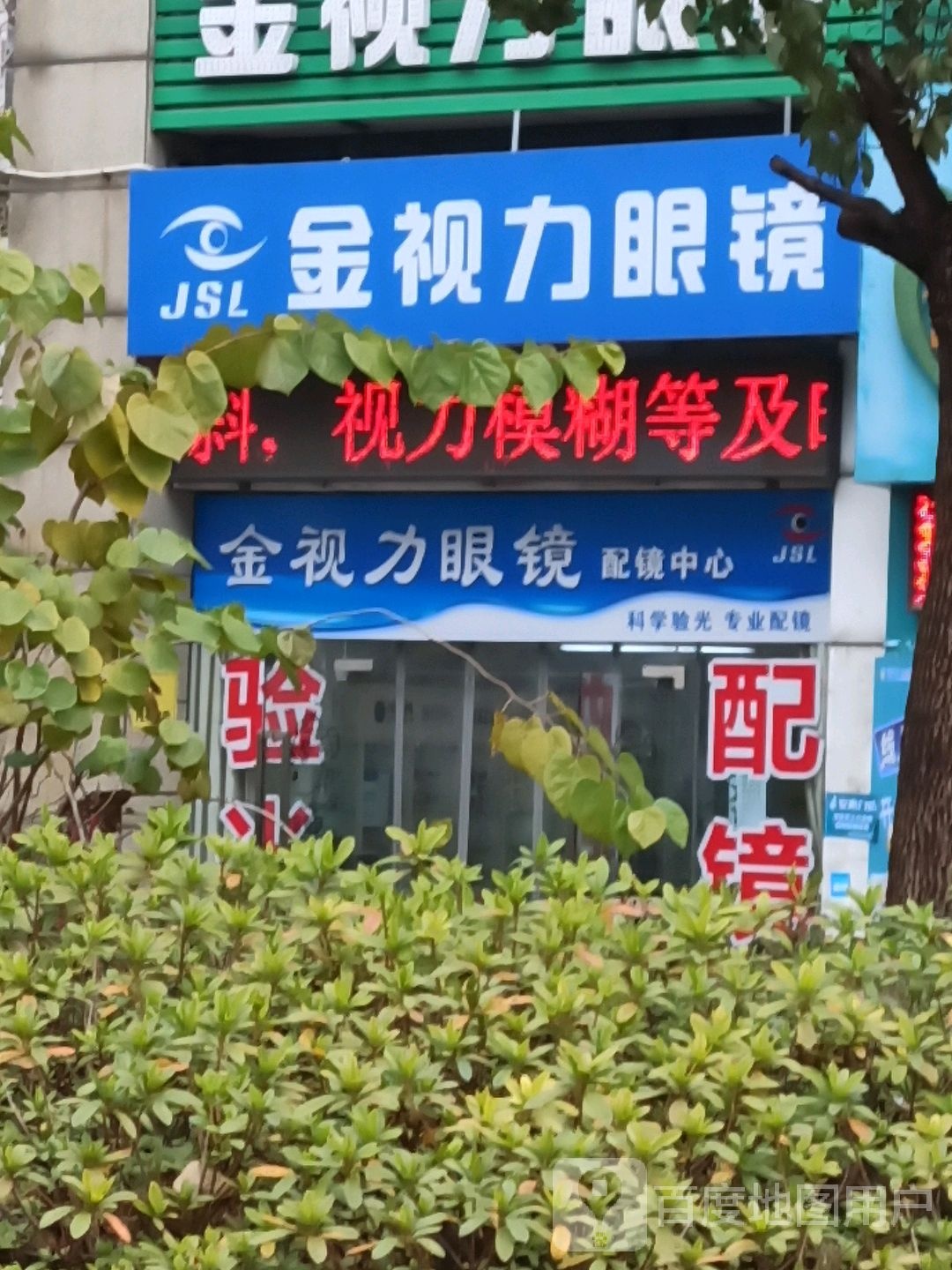 金视丽眼镜