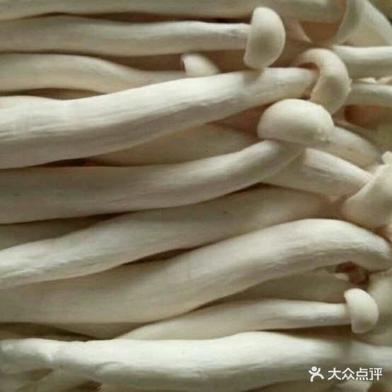 成都市冒菜(揭阳店)