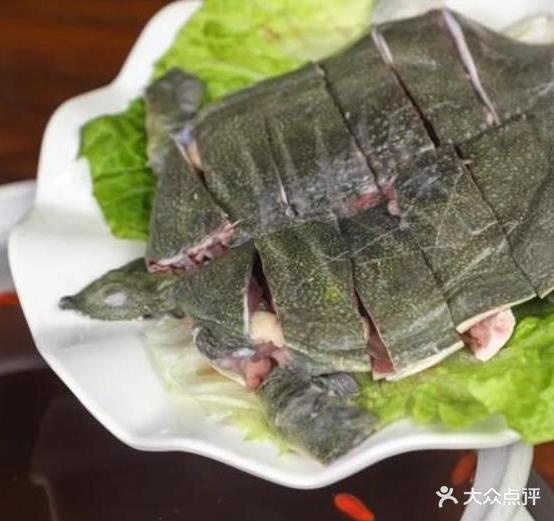 叶记花胶牛鞭鸡子煲