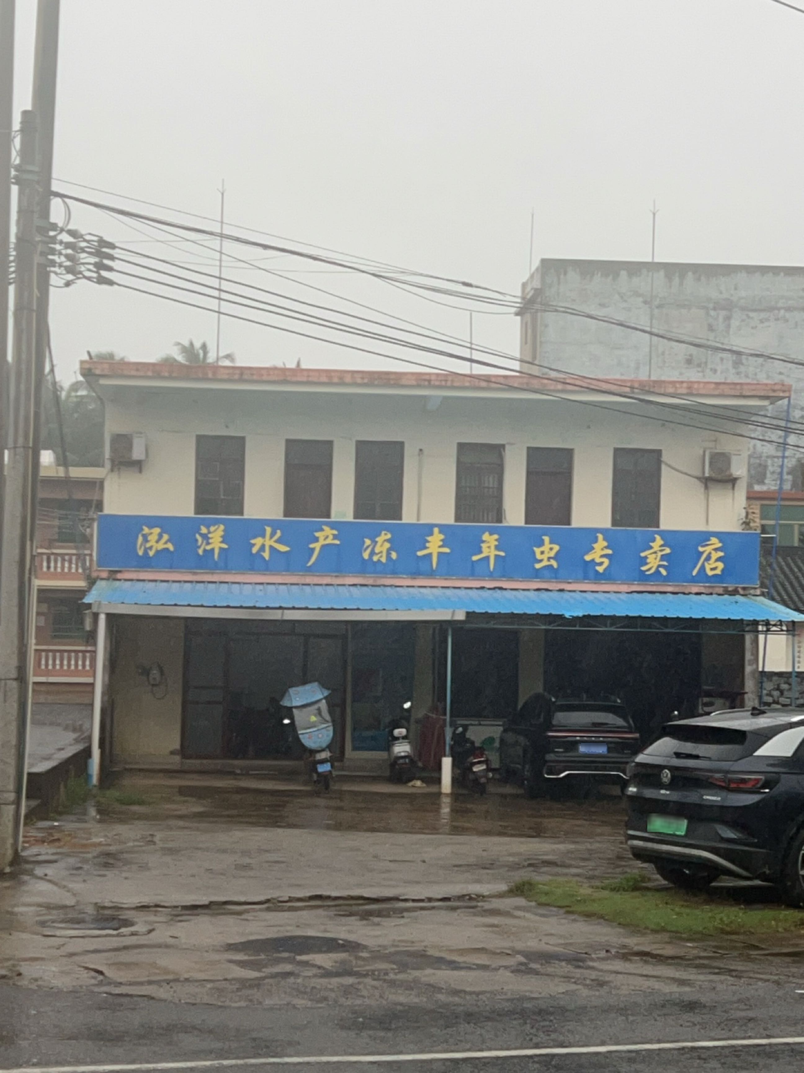 泓洋水产冻丰年虫专卖店