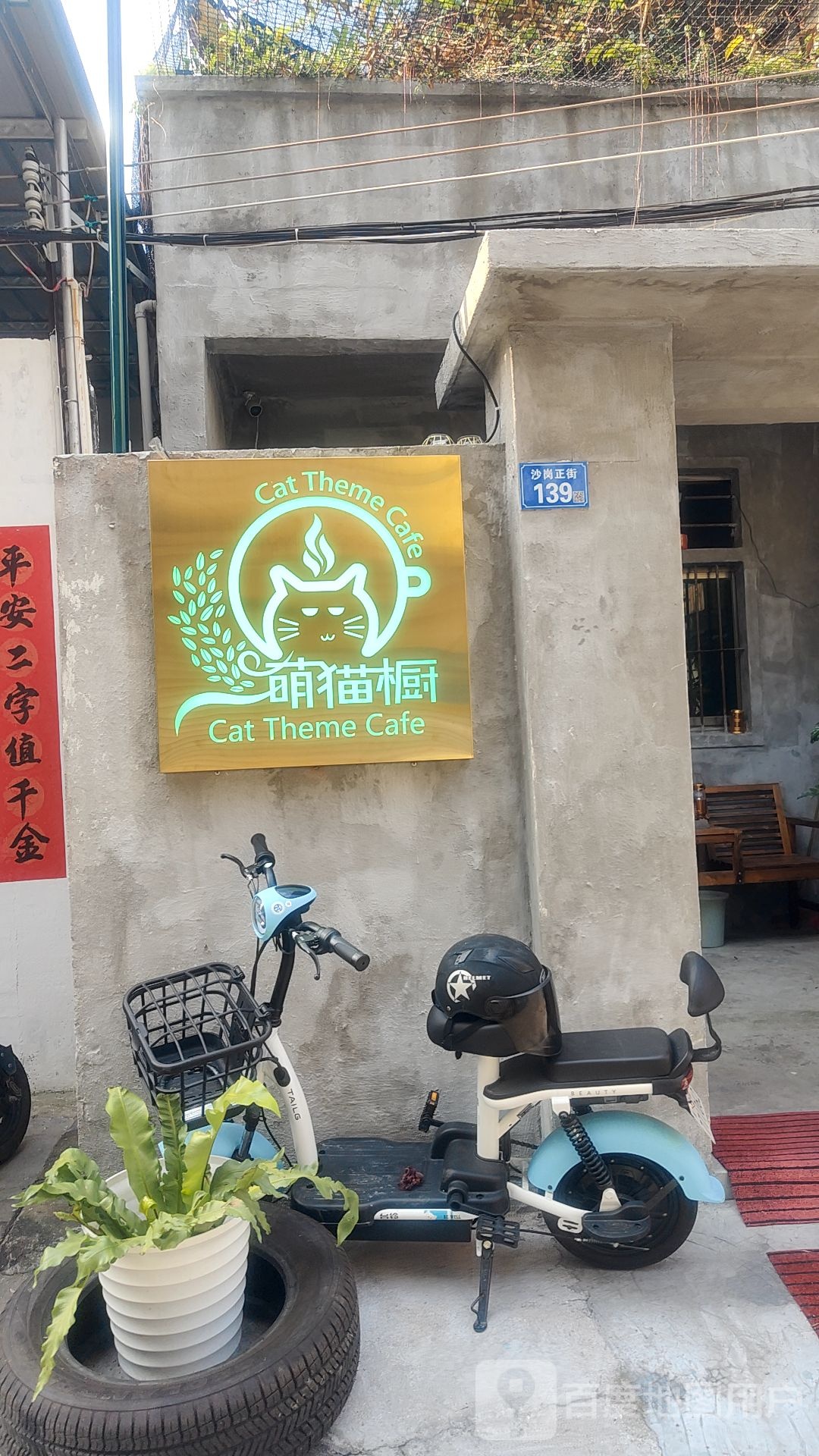 萌猫橱Cafe·猫咖宅院