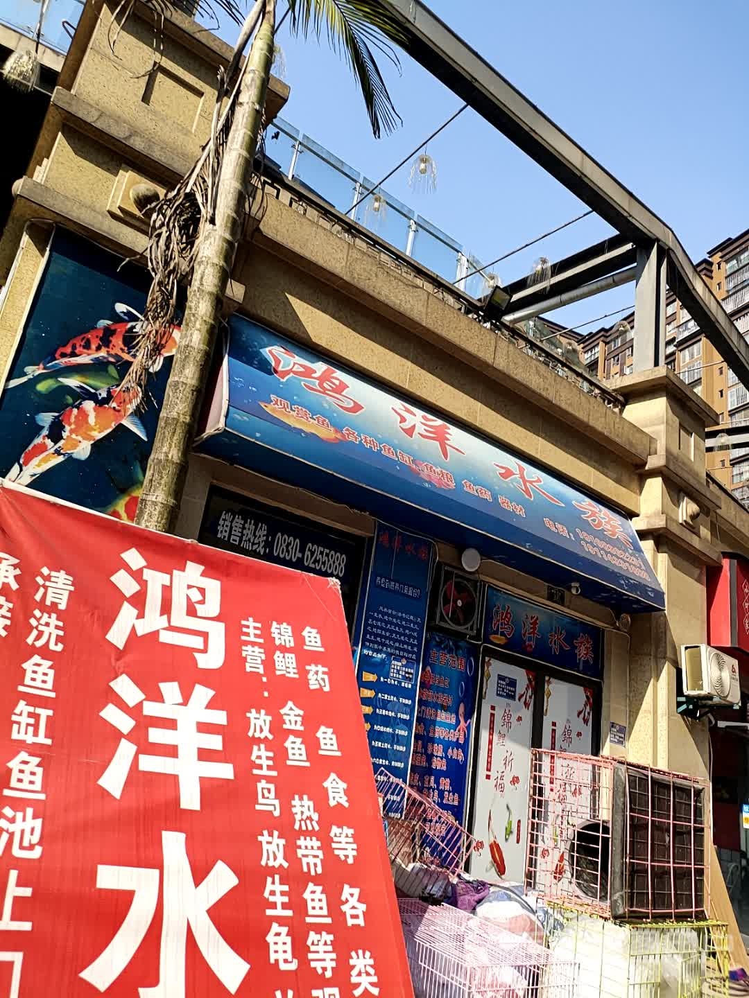 鸿洋水族(御景·东城店)