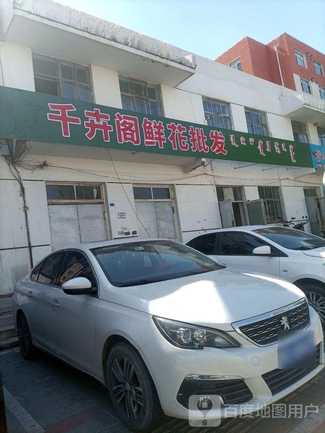 千卉阁鲜华批发