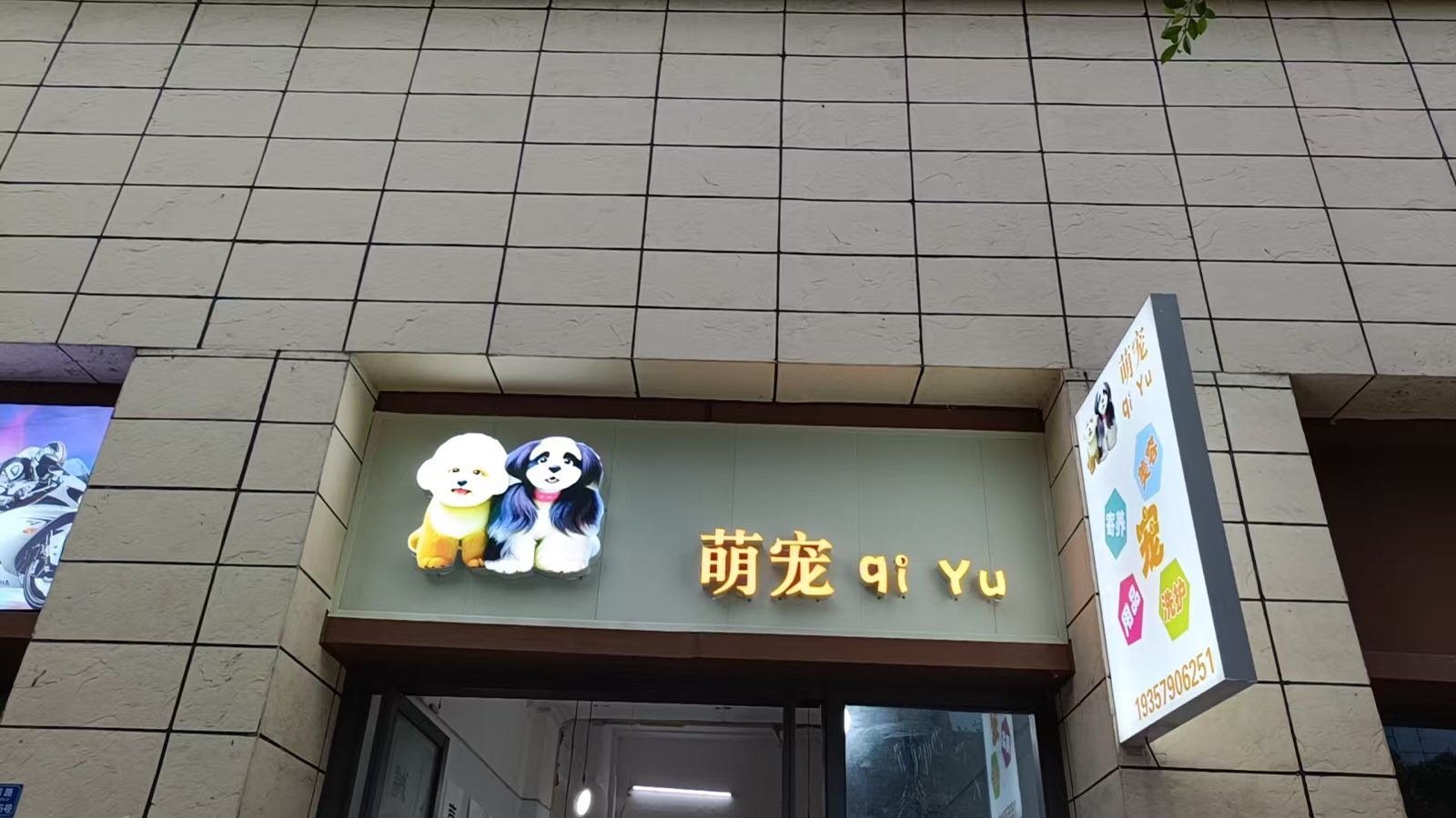 萌宠qi Yu