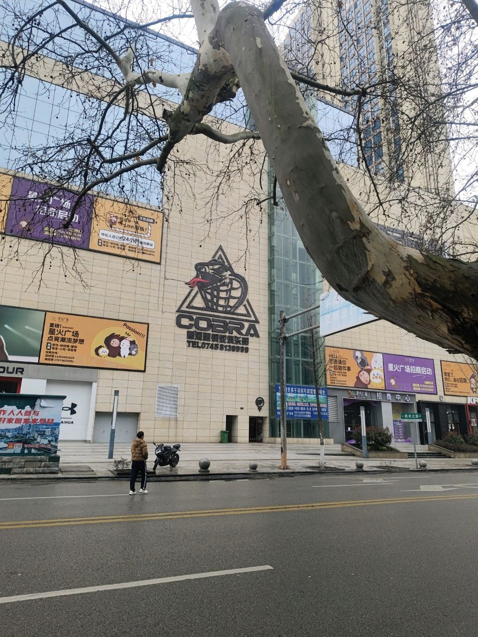 香港眼镜蛇俱乐部